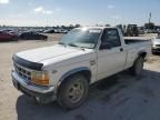 1994 Dodge Dakota