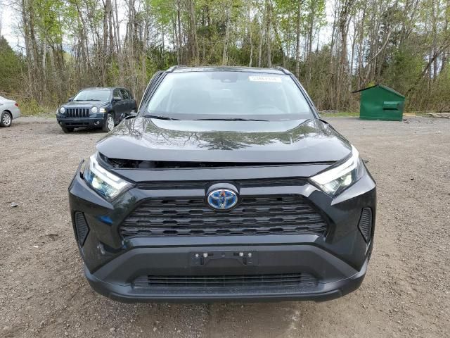 2024 Toyota Rav4 XLE