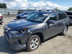 Toyota rav4 xle salvage cars for sale: 2020 Toyota Rav4 XLE