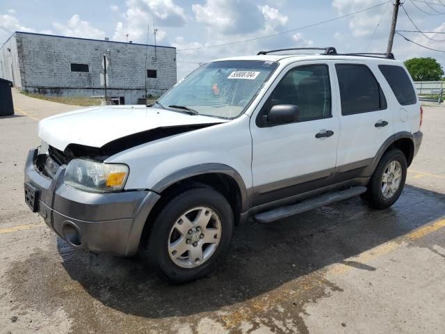 2006 Ford Escape XLT