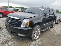 Cars With No Damage for sale at auction: 2009 Cadillac Escalade