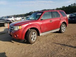 Salvage cars for sale at Greenwell Springs, LA auction: 2010 Ford Escape XLT