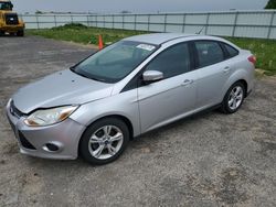 Salvage cars for sale at Franklin, WI auction: 2014 Ford Focus SE