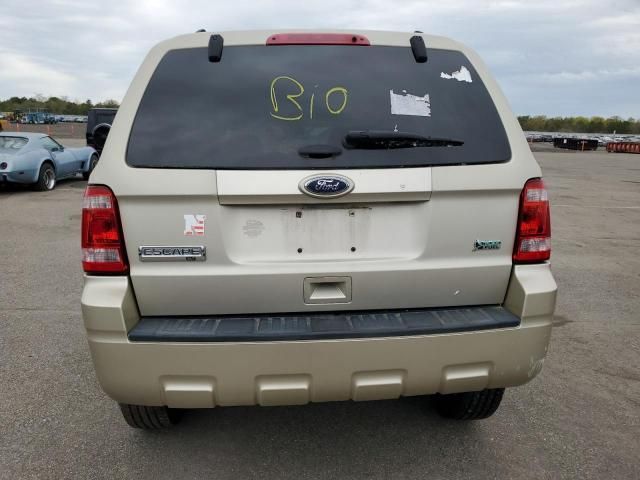 2012 Ford Escape XLT