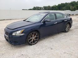 Salvage cars for sale from Copart New Braunfels, TX: 2011 Nissan Maxima S