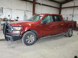 Salvage cars for sale at Billings, MT auction: 2019 Ford F150 Supercrew