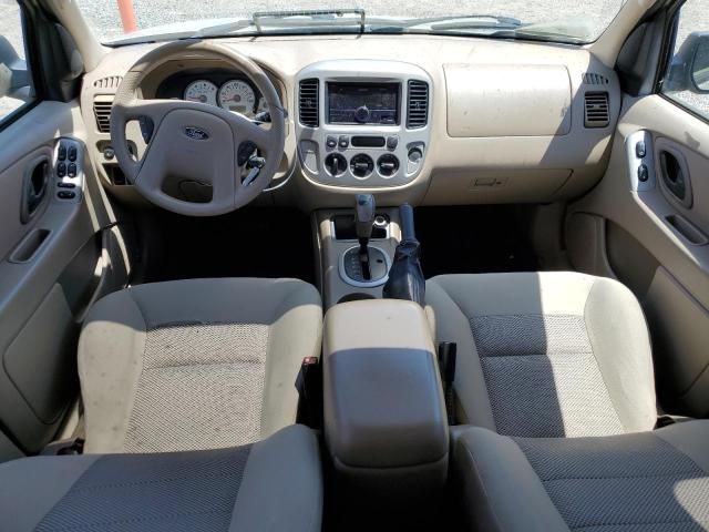 2005 Ford Escape XLT