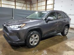 Salvage cars for sale at Columbia Station, OH auction: 2022 Toyota Rav4 XLE