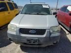 2005 Ford Escape XLT