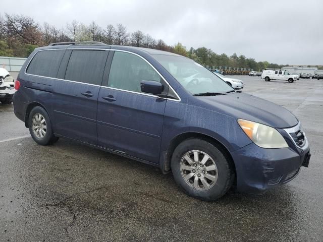 2008 Honda Odyssey EXL