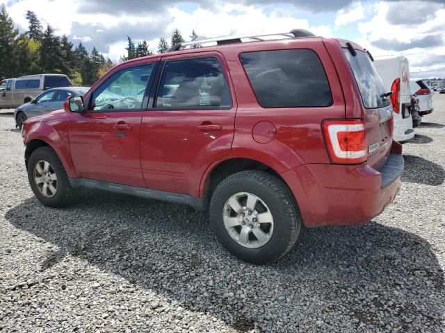 2011 Ford Escape Limited