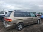 2003 Honda Odyssey EXL