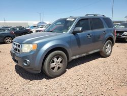 Salvage cars for sale at Phoenix, AZ auction: 2012 Ford Escape XLT