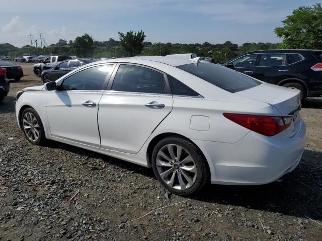 2011 Hyundai Sonata SE