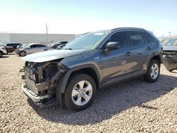 Salvage cars for sale at Phoenix, AZ auction: 2021 Toyota Rav4 LE