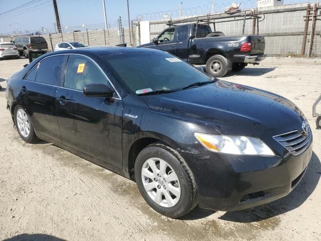 2009 Toyota Camry Hybrid