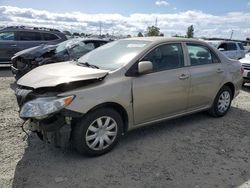 Toyota salvage cars for sale: 2010 Toyota Corolla Base