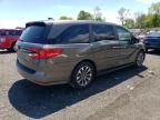 2023 Honda Odyssey EXL