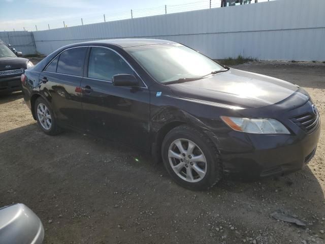 2009 Toyota Camry SE