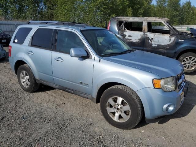 2009 Ford Escape Hybrid