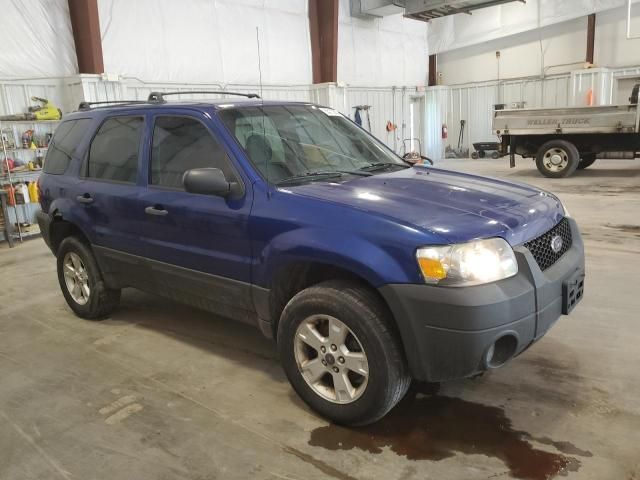 2006 Ford Escape XLT