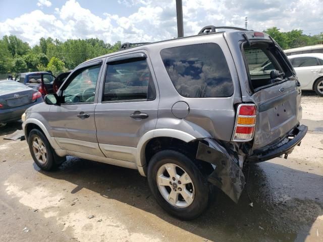 2007 Ford Escape XLT