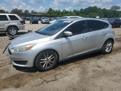 Salvage cars for sale at Florence, MS auction: 2016 Ford Focus SE