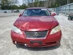 2009 Lexus ES 350