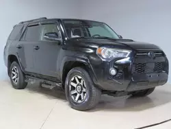 Salvage cars for sale from Copart Wilmington, CA: 2020 Toyota 4runner SR5/SR5 Premium