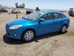 Ford Focus se salvage cars for sale: 2012 Ford Focus SE