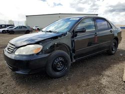 Salvage cars for sale from Copart Rocky View County, AB: 2003 Toyota Corolla CE