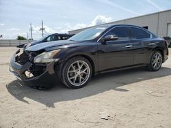 Salvage cars for sale at Jacksonville, FL auction: 2011 Nissan Maxima S