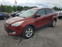 Salvage cars for sale from Copart York Haven, PA: 2015 Ford Escape SE