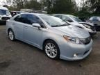 2010 Lexus HS 250H