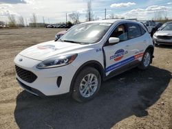 Salvage cars for sale at Montreal Est, QC auction: 2020 Ford Escape SE