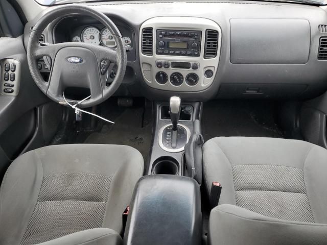 2006 Ford Escape XLT