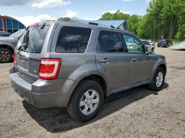 2010 Ford Escape Limited