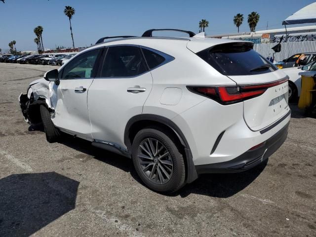 2024 Lexus NX 350H Base