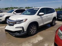 Salvage cars for sale at Louisville, KY auction: 2019 Honda Pilot EXL