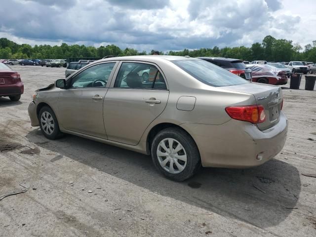 2009 Toyota Corolla Base