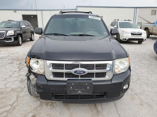 2011 Ford Escape XLT