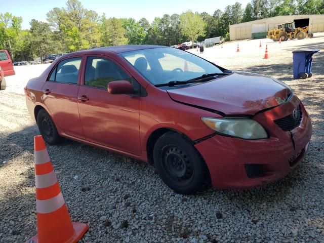 2010 Toyota Corolla Base