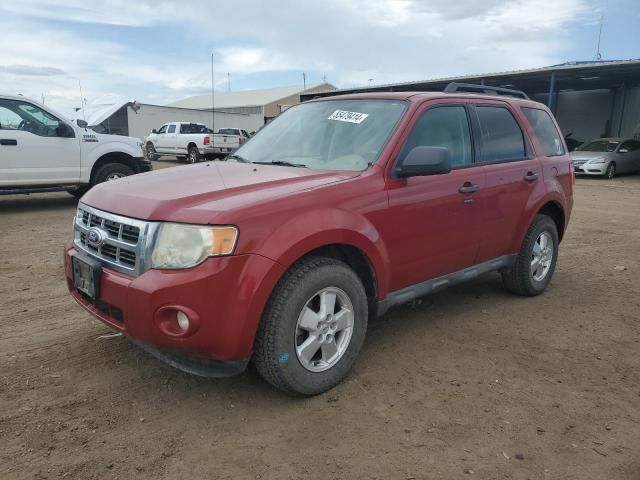 2010 Ford Escape XLT