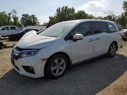 Honda salvage cars for sale: 2020 Honda Odyssey EXL