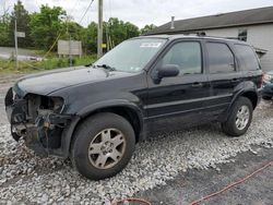 Vehiculos salvage en venta de Copart York Haven, PA: 2006 Ford Escape Limited