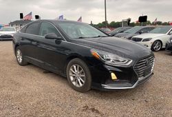 Salvage cars for sale at Grand Prairie, TX auction: 2019 Hyundai Sonata SE