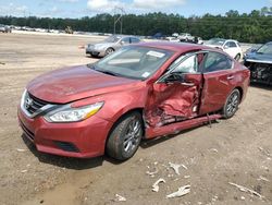 Salvage cars for sale at Greenwell Springs, LA auction: 2016 Nissan Altima 2.5