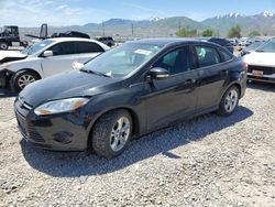Salvage cars for sale at Magna, UT auction: 2014 Ford Focus SE
