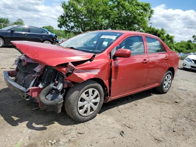 2010 Toyota Corolla Base