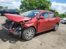 Salvage cars for sale from Copart Baltimore, MD: 2010 Toyota Corolla Base